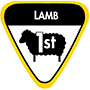 lamb